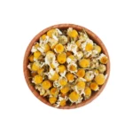 زهرة البابونج | عال الكيف