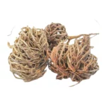 عشب كف مريم | عال الكيف