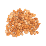 بذور المشمش من عال الكيف متعدد الاوزان