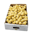 كرتون فلين رطب برحي القصيم درجة أولئ ، 3 كيلو تقريباً توصيل لداخل الرياض فقط