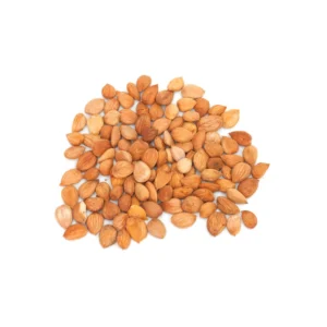 بذور المشمش من عال الكيف متعدد الاوزان