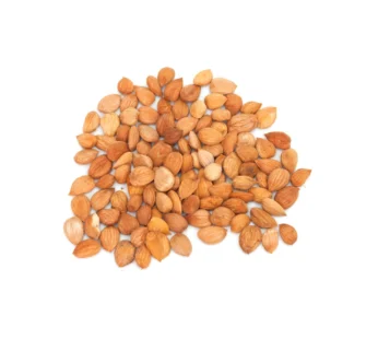 بذور المشمش من عال الكيف متعدد الاوزان