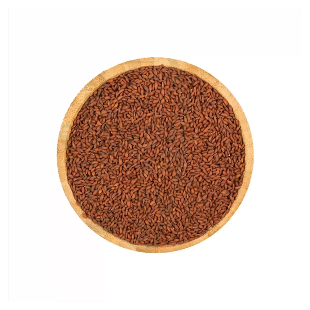 بذور حب رشاد من عال الكيف متعدد الاوزان