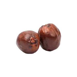 ثمرة الدوم حب من عال الكيف متعدد الاوزان