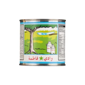 حليب وادي فاطمة مركز ، 170 جرام من عال الكيف