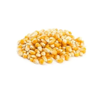 فشار حب أرجنتيني 1 كيلو